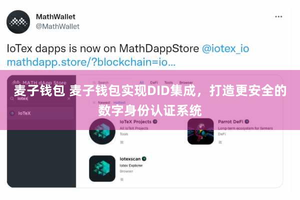 麦子钱包 麦子钱包实现DID集成，打造更安全的数字身份认证系统
