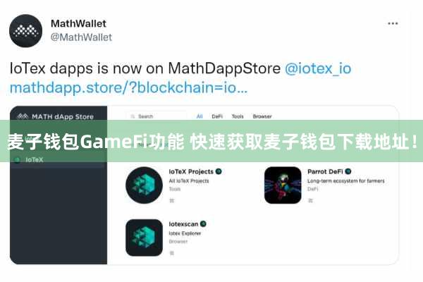 麦子钱包GameFi功能 快速获取麦子钱包下载地址！