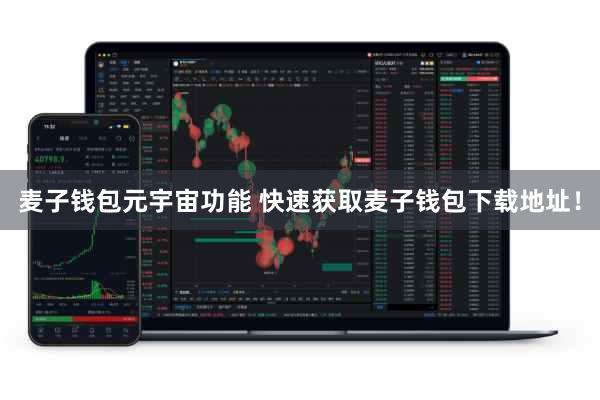 麦子钱包元宇宙功能 快速获取麦子钱包下载地址！