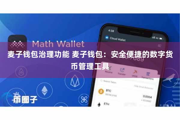 麦子钱包治理功能 麦子钱包：安全便捷的数字货币管理工具
