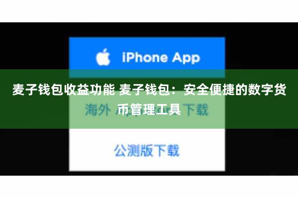 麦子钱包收益功能 麦子钱包：安全便捷的数字货币管理工具