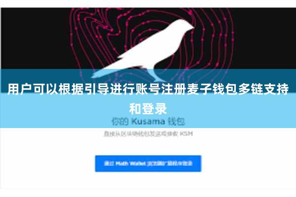 用户可以根据引导进行账号注册麦子钱包多链支持和登录