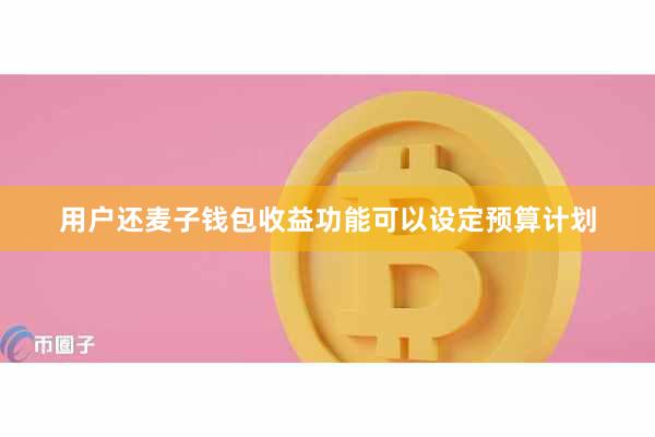 用户还麦子钱包收益功能可以设定预算计划