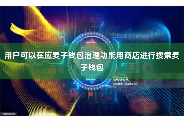 用户可以在应麦子钱包治理功能用商店进行搜索麦子钱包
