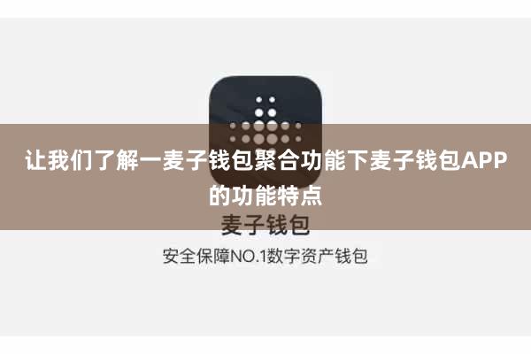 让我们了解一麦子钱包聚合功能下麦子钱包APP的功能特点