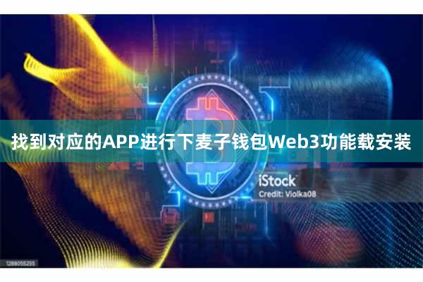 找到对应的APP进行下麦子钱包Web3功能载安装