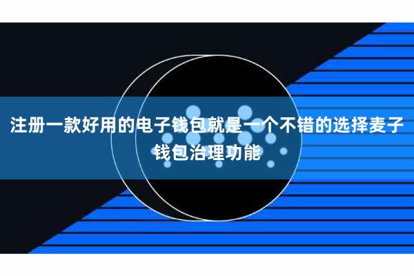 注册一款好用的电子钱包就是一个不错的选择麦子钱包治理功能