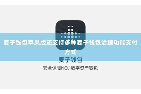 麦子钱包苹果版还支持多种麦子钱包治理功能支付方式