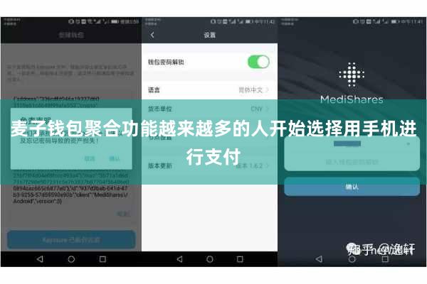 麦子钱包聚合功能越来越多的人开始选择用手机进行支付