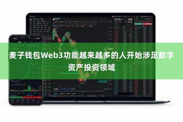 麦子钱包Web3功能越来越多的人开始涉足数字资产投资领域