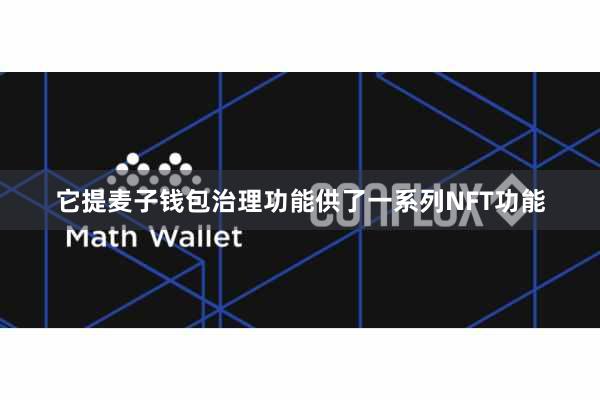 它提麦子钱包治理功能供了一系列NFT功能