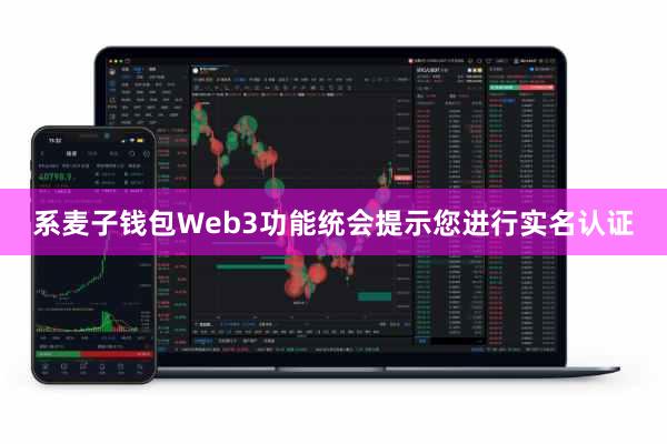 系麦子钱包Web3功能统会提示您进行实名认证
