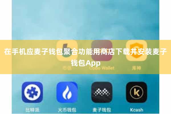 在手机应麦子钱包聚合功能用商店下载并安装麦子钱包App
