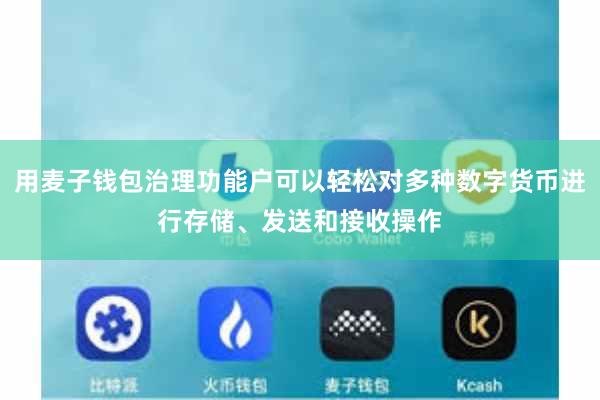 用麦子钱包治理功能户可以轻松对多种数字货币进行存储、发送和接收操作