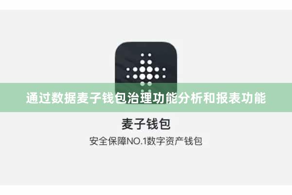 通过数据麦子钱包治理功能分析和报表功能