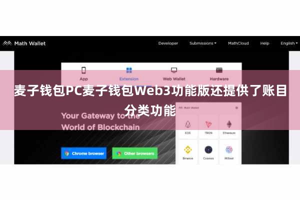 麦子钱包PC麦子钱包Web3功能版还提供了账目分类功能