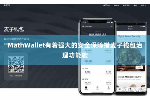 MathWallet有着强大的安全保障措麦子钱包治理功能施