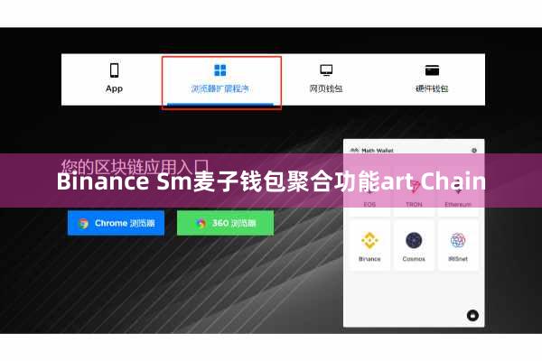 Binance Sm麦子钱包聚合功能art Chain