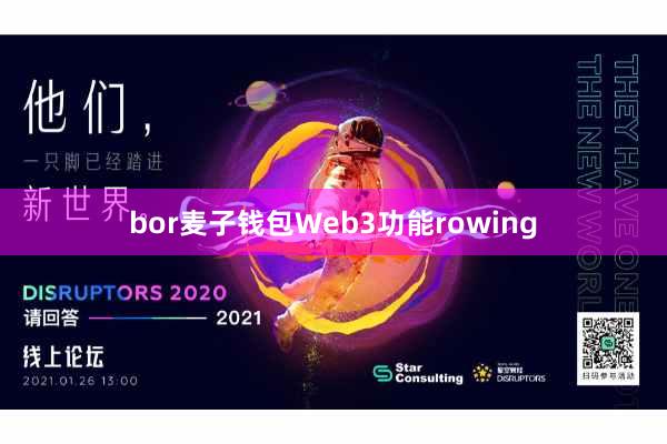 bor麦子钱包Web3功能rowing