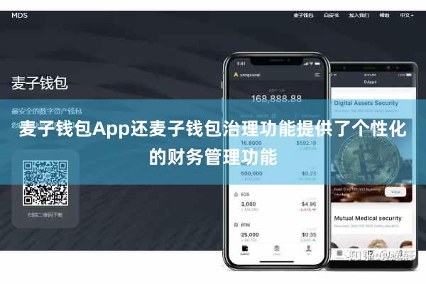 麦子钱包App还麦子钱包治理功能提供了个性化的财务管理功能