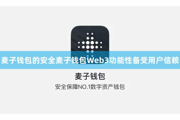 麦子钱包的安全麦子钱包Web3功能性备受用户信赖