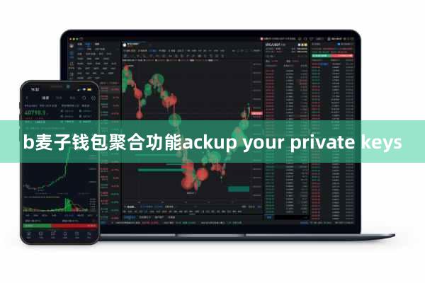 b麦子钱包聚合功能ackup your private keys