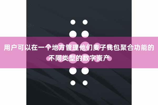 用户可以在一个地方管理他们麦子钱包聚合功能的不同类型的数字资产
